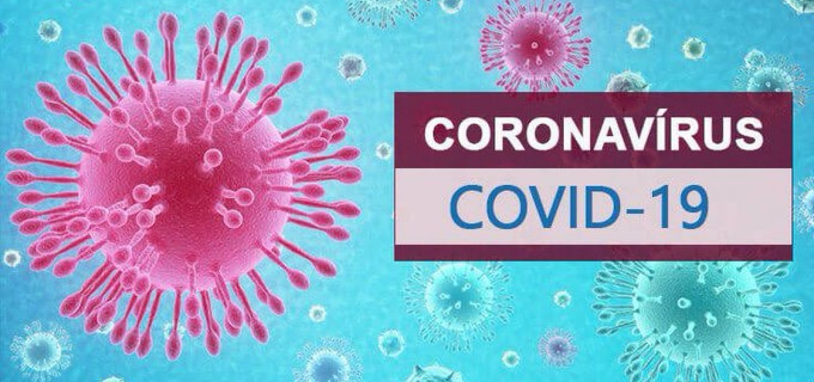Leia mais sobre o artigo Atualizações legislativas Coronavírus.