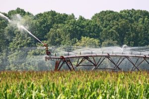 Leia mais sobre o artigo Obtenha incentivos ficais para REIDI irrigação