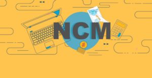 Leia mais sobre o artigo NCM: saiba como classificar a mercadoria